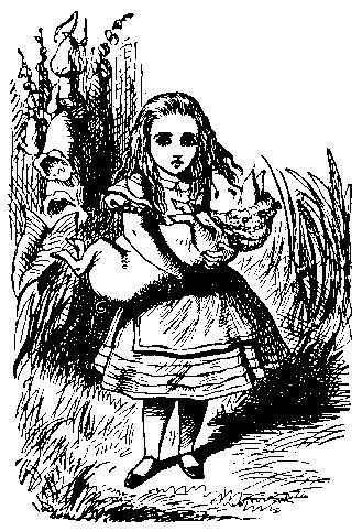 Alicia y el bebé cerdo