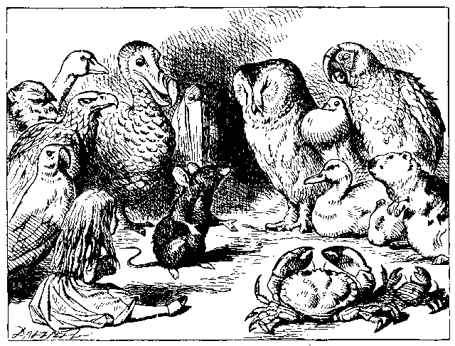 Ratón contandole la historia a Alicia y los pájaros