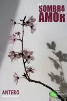 La sombra del amor