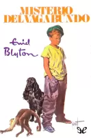 Misterio del vagabundo