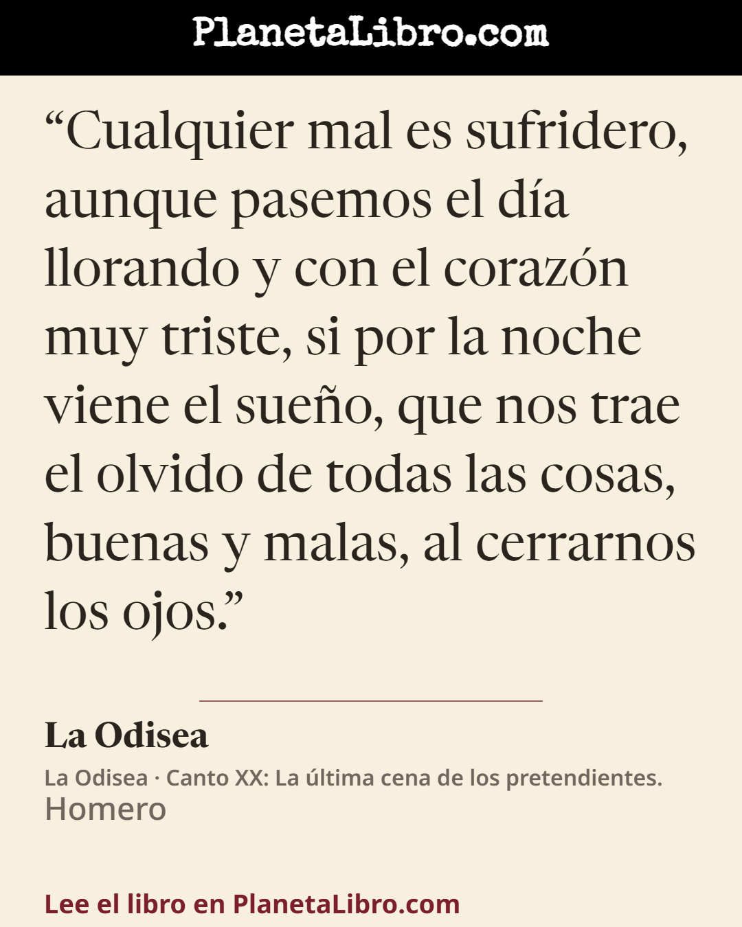 «Cualquier mal es sufridero, aunque pasemos el d�a llorando y con el coraz�n muy triste, si por la noche viene el sue�o, que nos trae el olvido de todas las cosas, buenas y malas, al cerrarnos los ojos.». La Odisea