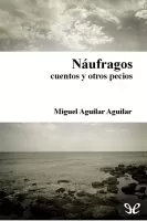Náufragos, cuentos y otros pecios