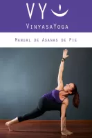 VY Vinyasa Yoga