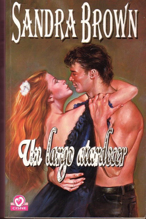 Portada de Un largo atardecer