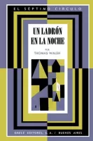 Un ladrón en la noche