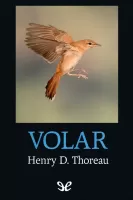 Volar