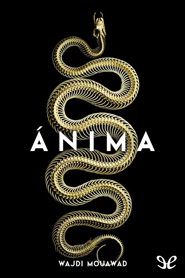 Ánima