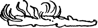 image038
