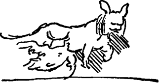 image042