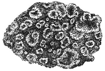 0043